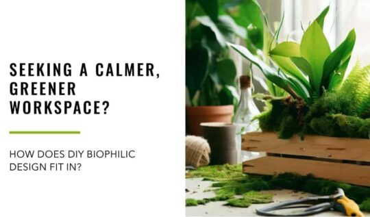 Seeking a Calmer, Greener Workspace? How Does DIY Biophilic Design Fit In?