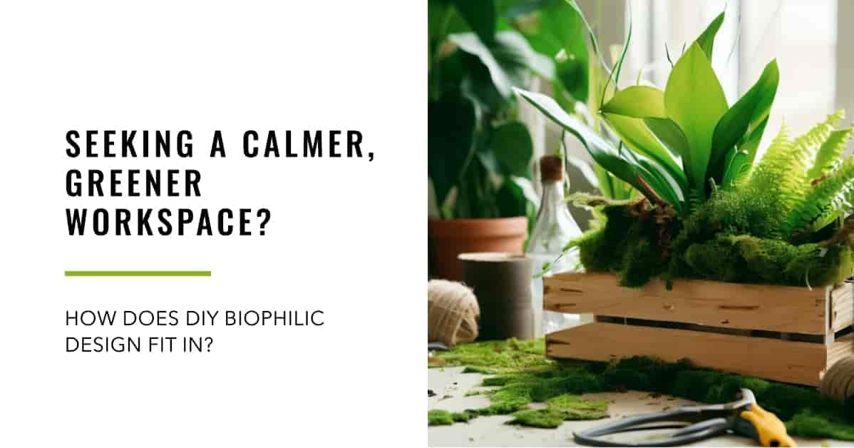 Seeking a Calmer, Greener Workspace? How Does DIY Biophilic Design Fit In?