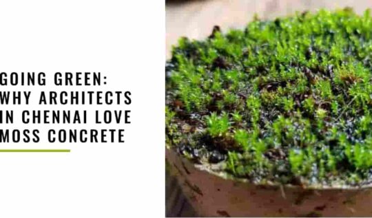 Going Green: Why Architects in Chennai Love Moss Concrete