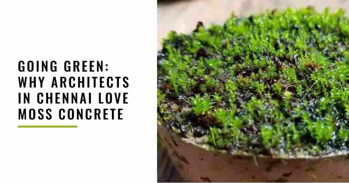 Going Green: Why Architects in Chennai Love Moss Concrete